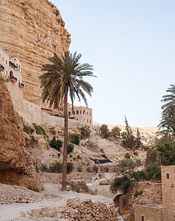 jericho, tree, plant, building, architecture, castle, palm tree HD wallpaper