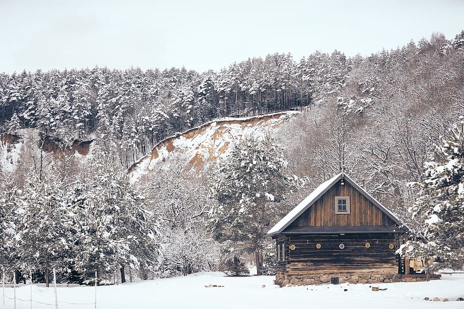 lithuania, pūčkoriai, winter, snow, cliff, forest, trees, HD wallpaper