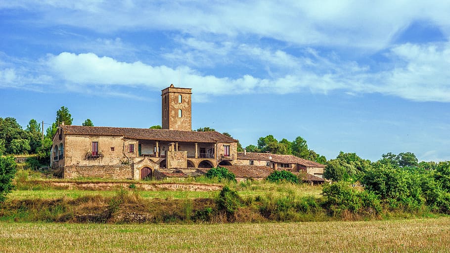 house, rural, rustic, old, field, trees, nature, landscape HD wallpaper
