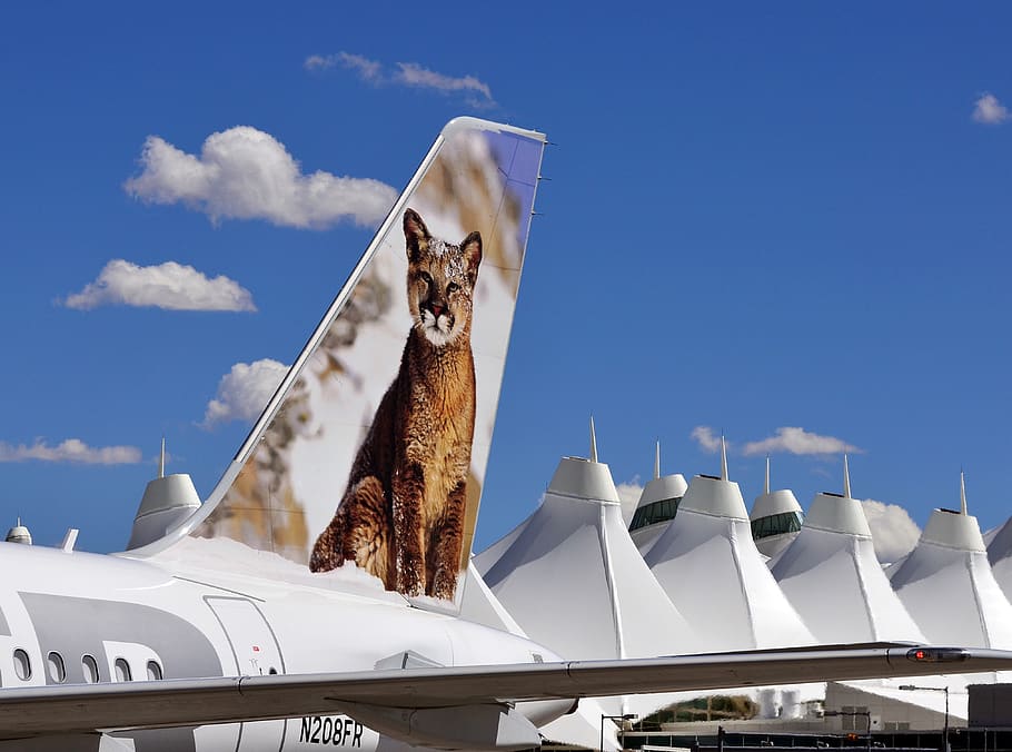 white airplane on park, denver airport, usa, aircraft, transportation HD wallpaper