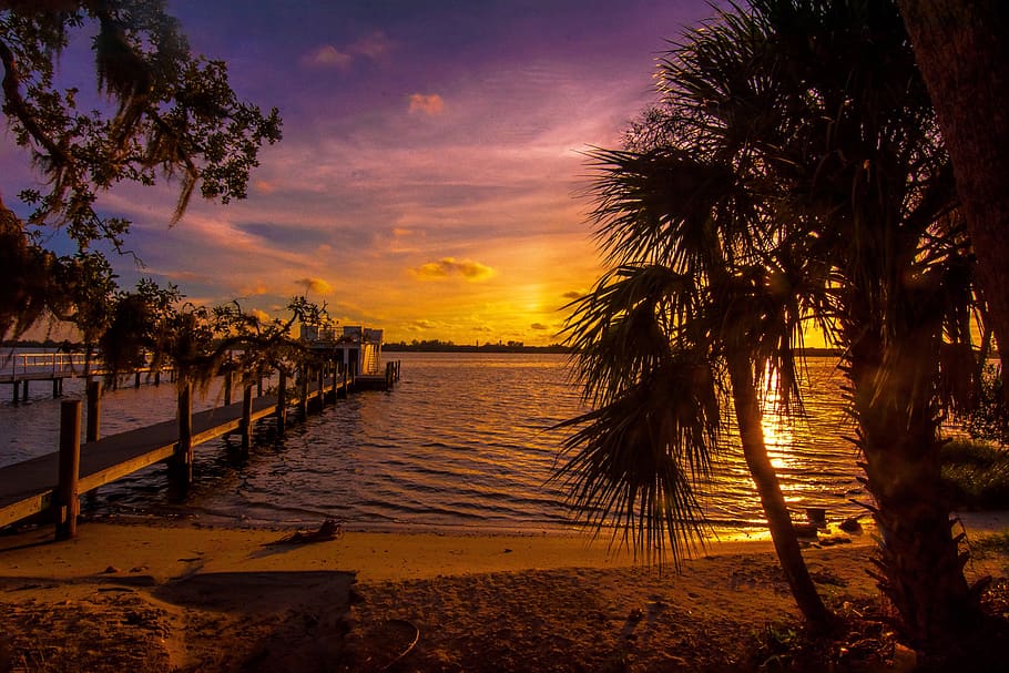 Silhouette of Palm Trees Near Body of Water and Sea Dock during Golden Hour HD wallpaper