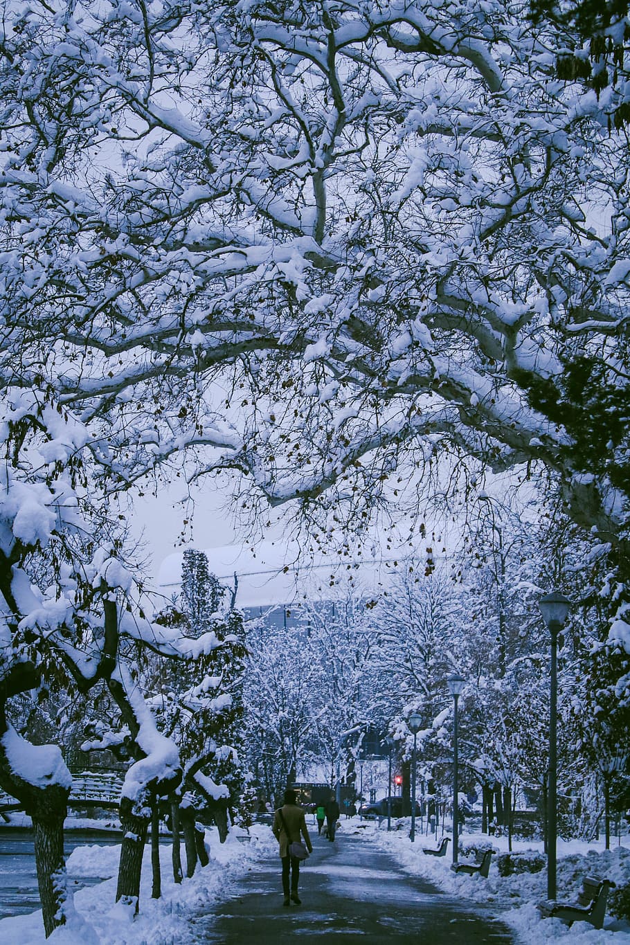 Tuyết rơi là một trong những phong cảnh trời đất thanh bình đẹp nhất. Hãy xem hình ảnh này để cảm nhận lượng tuyết trắng nhẹ nhàng rơi xuống khắp nơi, tạo nên một vẻ đẹp vô cùng lãng mạn và thơ mộng.