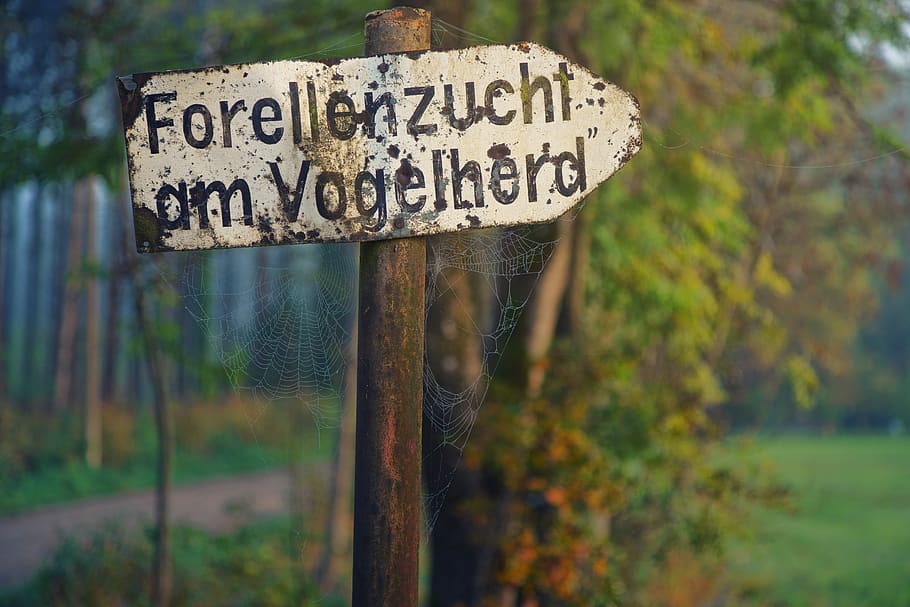Forellenzucht Am Vogelherd Signage, blur, daylight, environment HD wallpaper