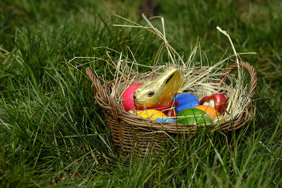 hare, easter bunny, easter eggs, easter nest, basket, figure HD wallpaper