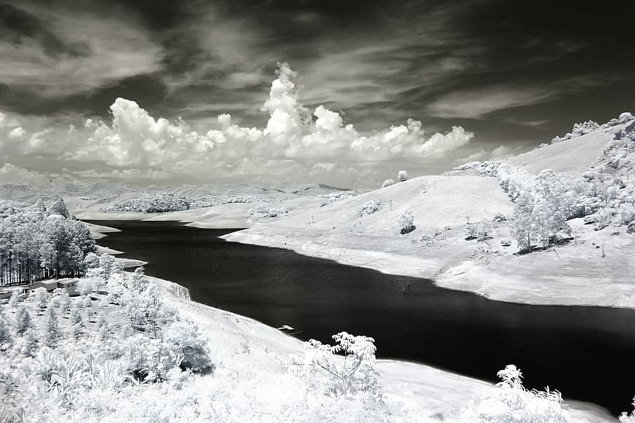 Snow Covered Trees Photo, black and white, clouds, cold, Dark Sky HD wallpaper