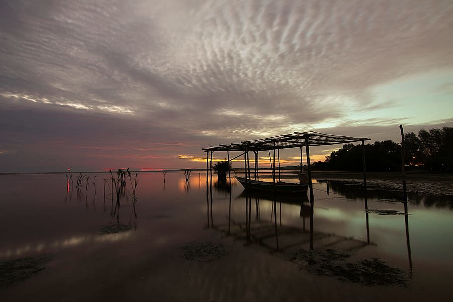 Brown Wooden Rack in Body of Water, beach, dawn, evening, landscape HD wallpaper