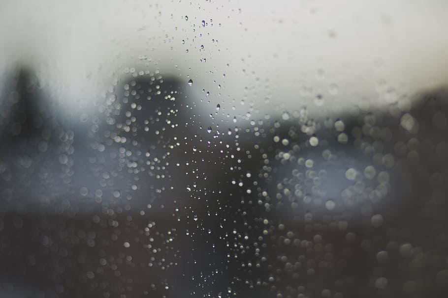 rainy, day, drops, droplets, nature, water, wet, window, glass - material HD wallpaper
