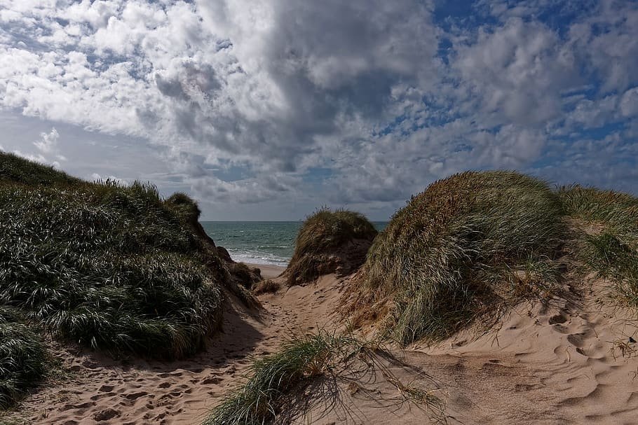 denmark, landscape, summer, vacations, north sea, sun, clouds HD wallpaper
