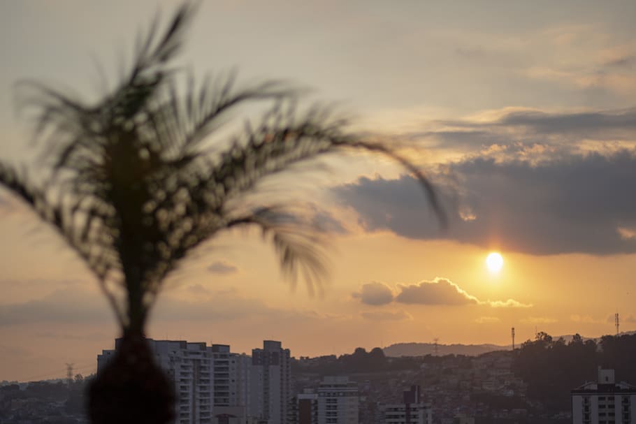 palm tree, sun, sunset, clouds, cloudscape, landscape, building HD wallpaper