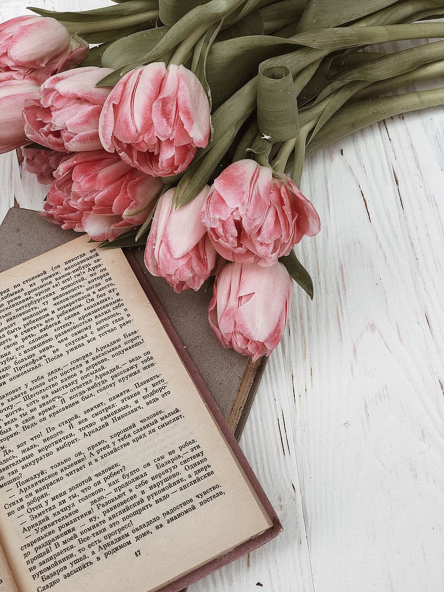 HD wallpaper: pink and white flowers and book, plant, blossom, text, page,  petal | Wallpaper Flare