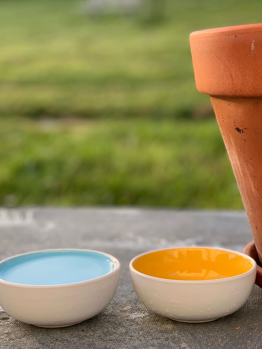 bowl, pets, dish, bowls, cat, dog, prado, nature, flowerpot HD wallpaper