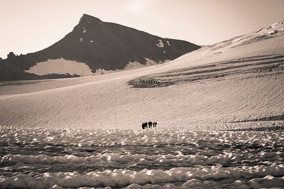 austria, venediger group, snow, ice, glacier, people, expedition HD wallpaper
