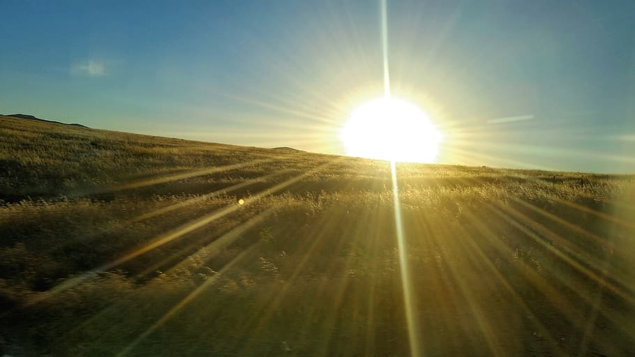 sunset, hill, sky, grass, background, rays, sunlight, lens flare HD wallpaper