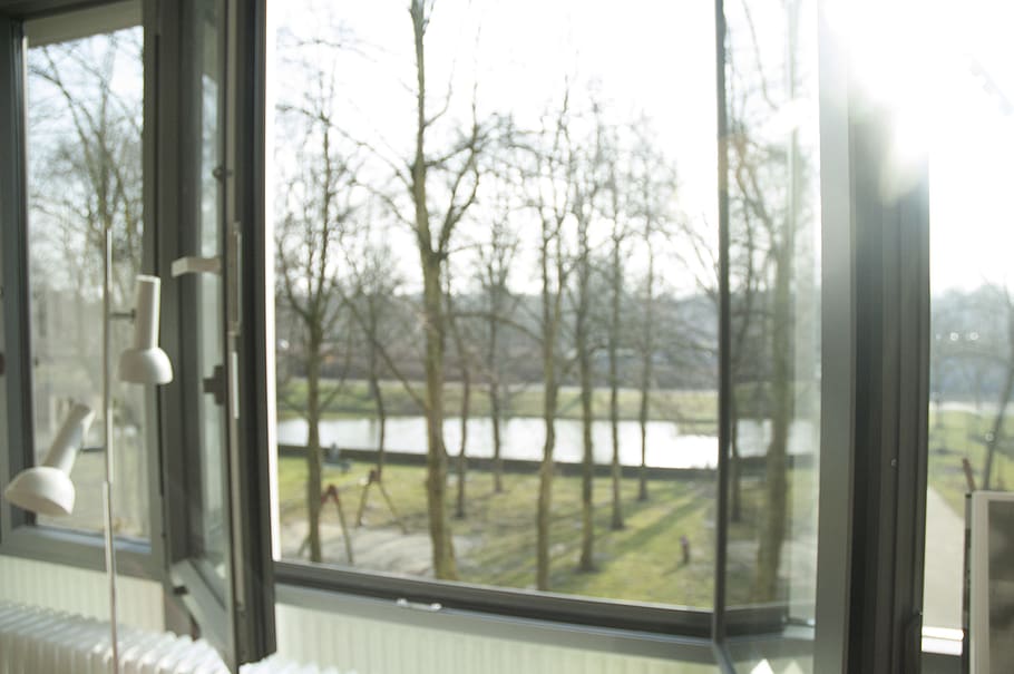 trees, window, transparent, glass - material, day, plant, nature HD wallpaper