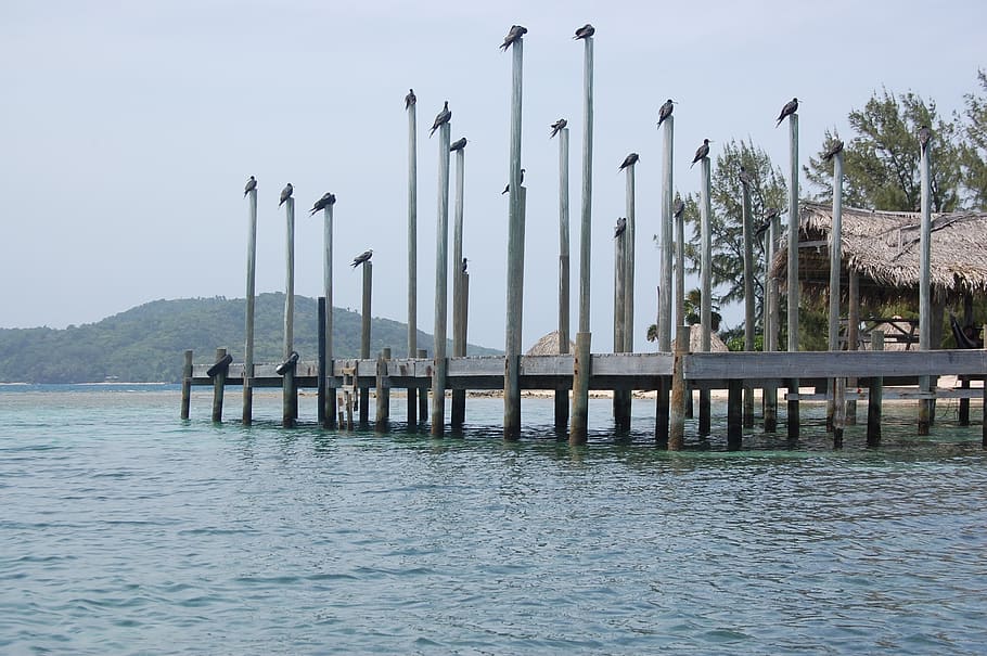 dock, ocean, pier, summer, docks, coast, seaside, water, waterfront HD wallpaper