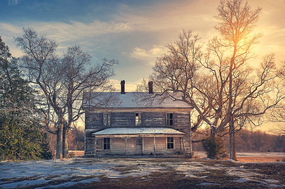 house, old, building, facade, masonry, abandoned, tree, architecture HD wallpaper