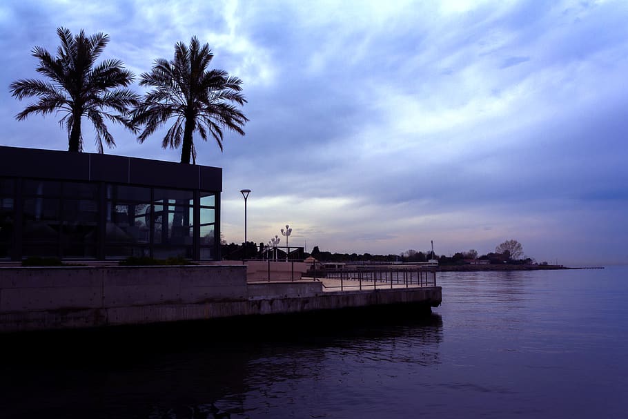 palm, sea, clouds, water, sky, cloud - sky, architecture, tree HD wallpaper