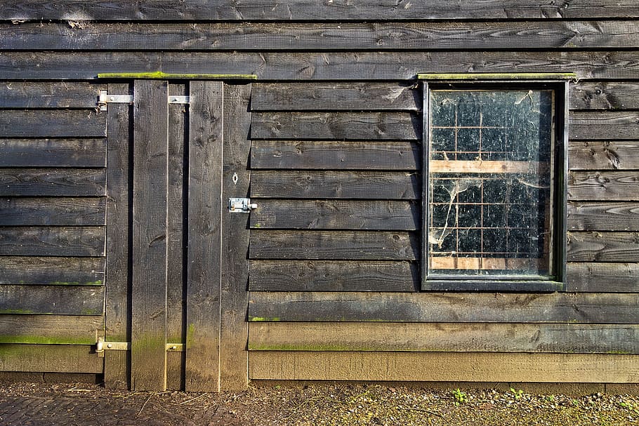 hut, wooden hut, planks, door, window, dilapidated, dirty, cabin, HD wallpaper