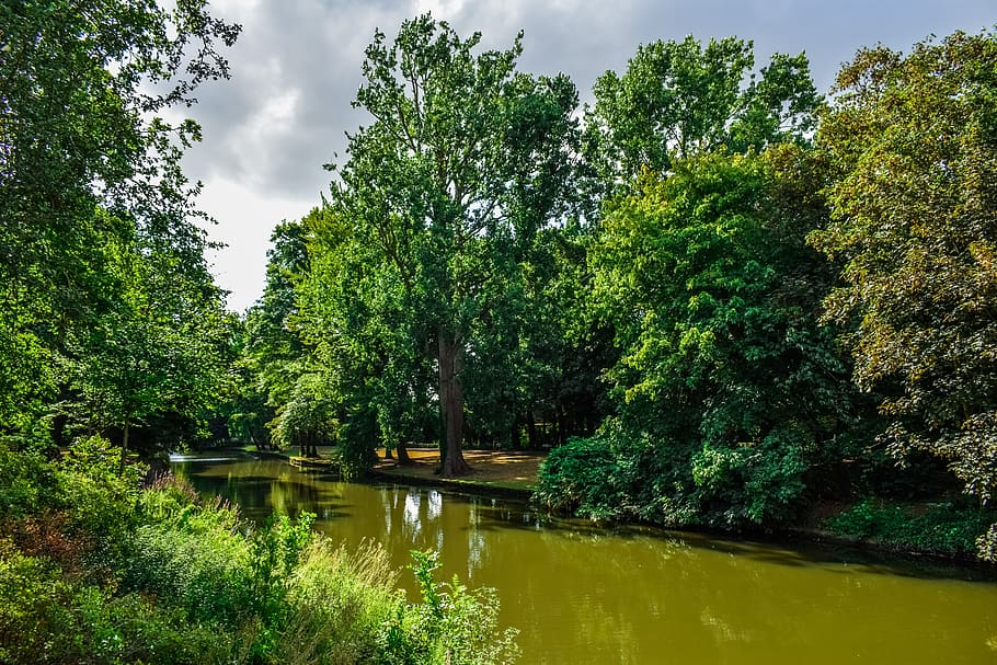 belgium, brugge, river, trees, nature, summer, romantic, picturesque HD wallpaper