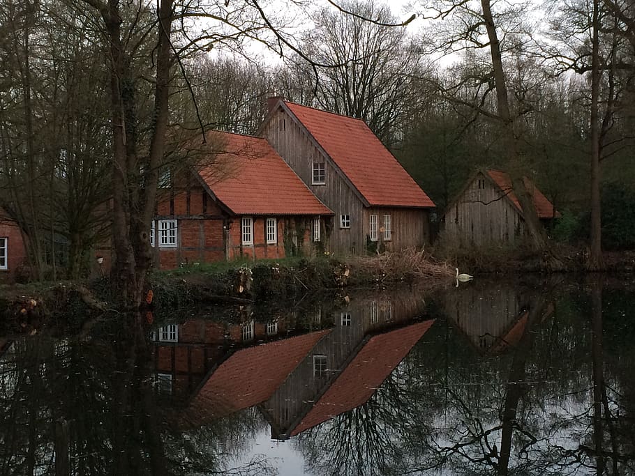 germany, vechta, trees, reflection, lake, winter, built structure HD wallpaper