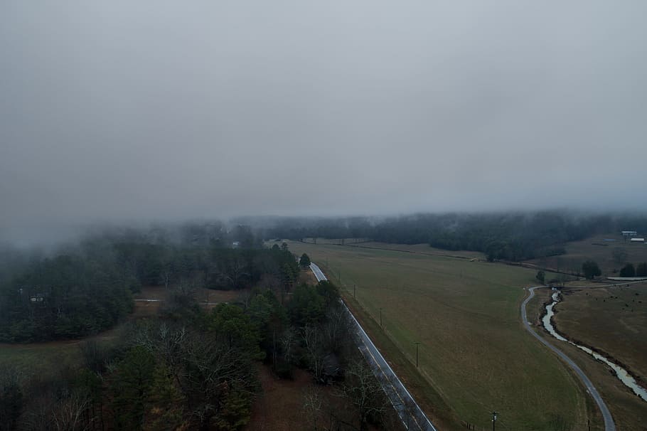 bird's eye view of road with thick fog during daytime, field HD wallpaper
