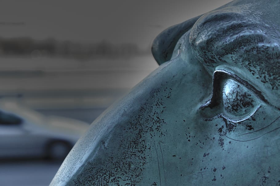 budapest, hungary, statue, lion, close-up, focus on foreground HD wallpaper
