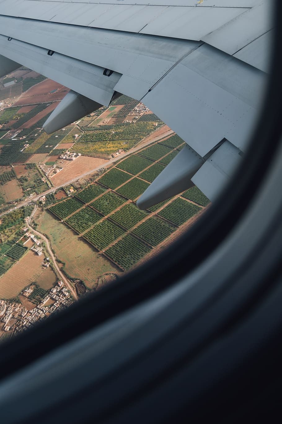 person showing plane wing, air vehicle, transportation, mode of transportation HD wallpaper