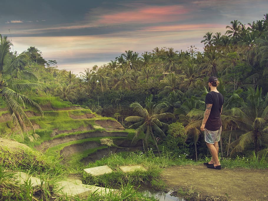 memory, dream, lifestyle, tree, view, cap, guy, travel, borntobe HD wallpaper