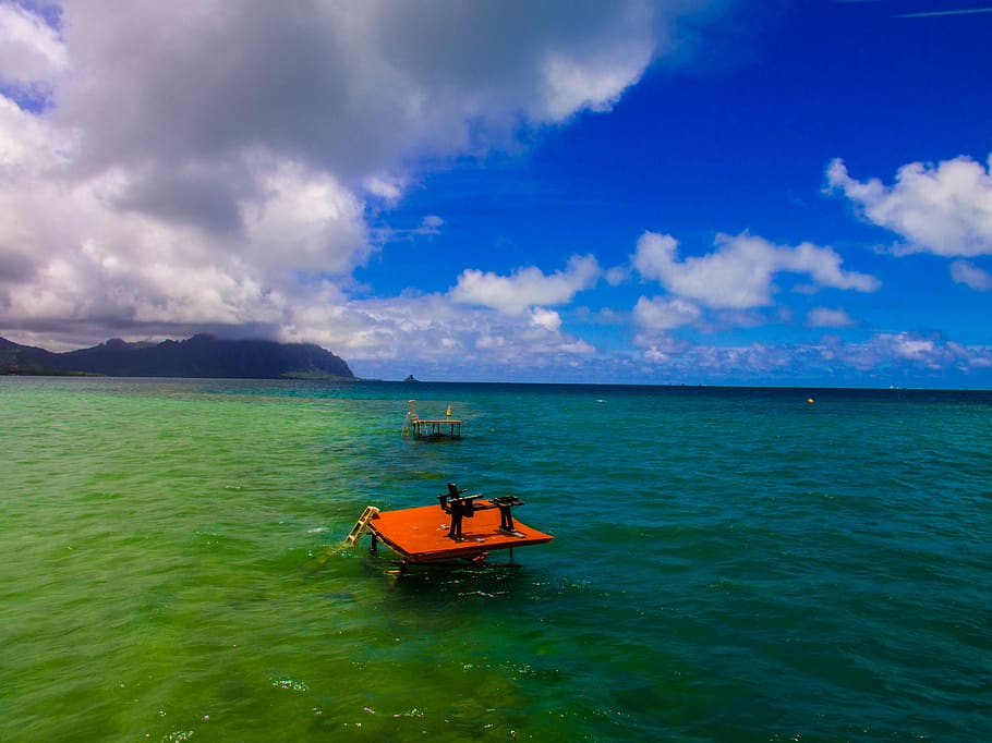 living, hawaii, sand, sandy, island, tropical, oahu, dom, love HD wallpaper