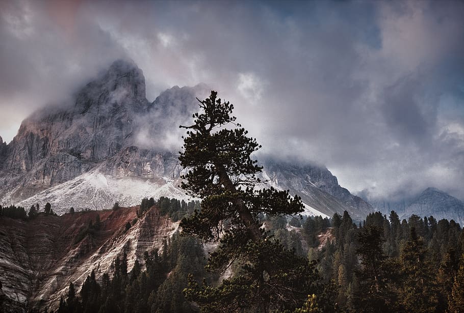 Bird's Eye View Photography of Trees and Mountain, clouds, cold HD wallpaper
