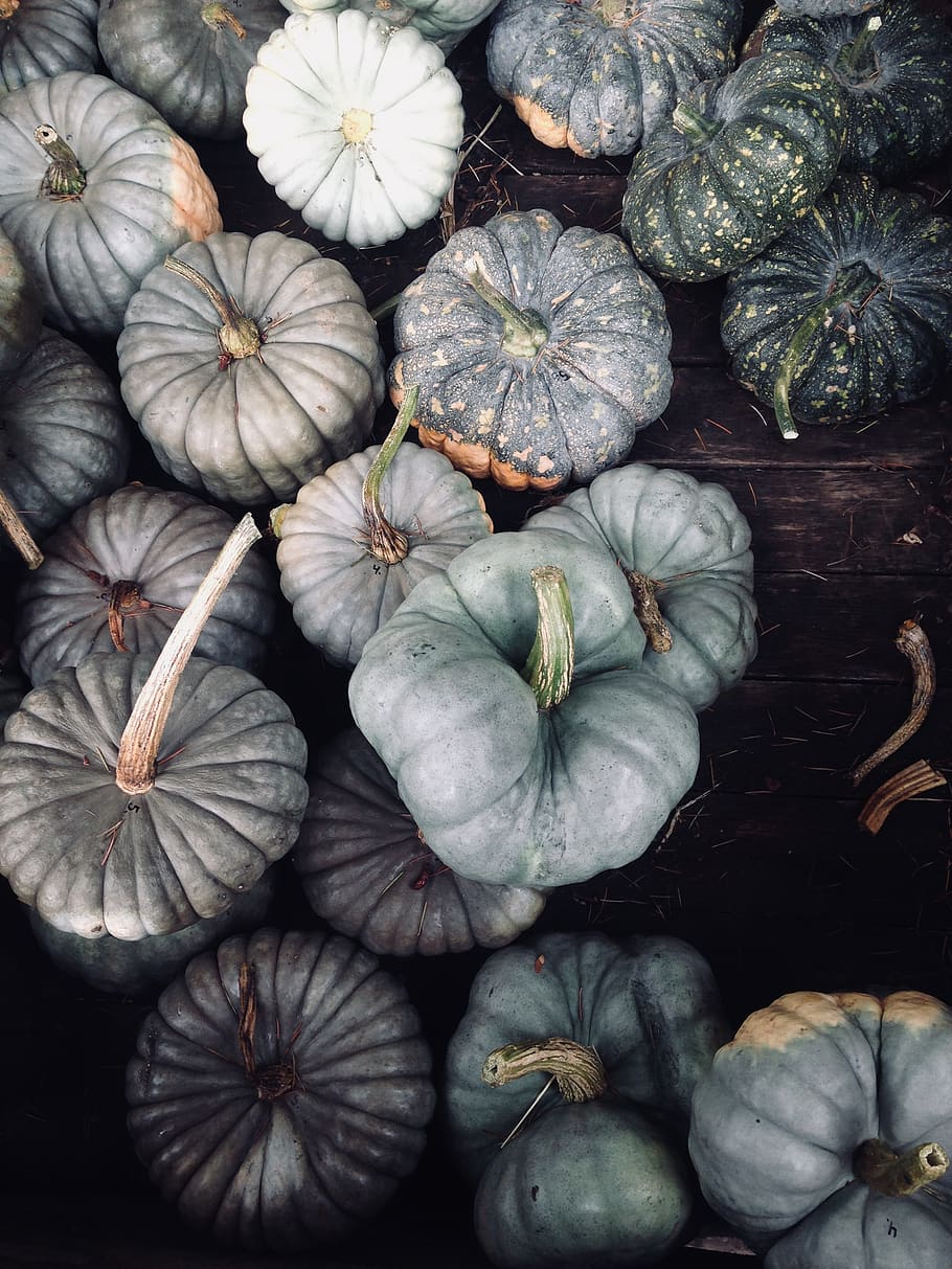 assorted squashes, freshness, food and drink, no people, wellbeing HD wallpaper