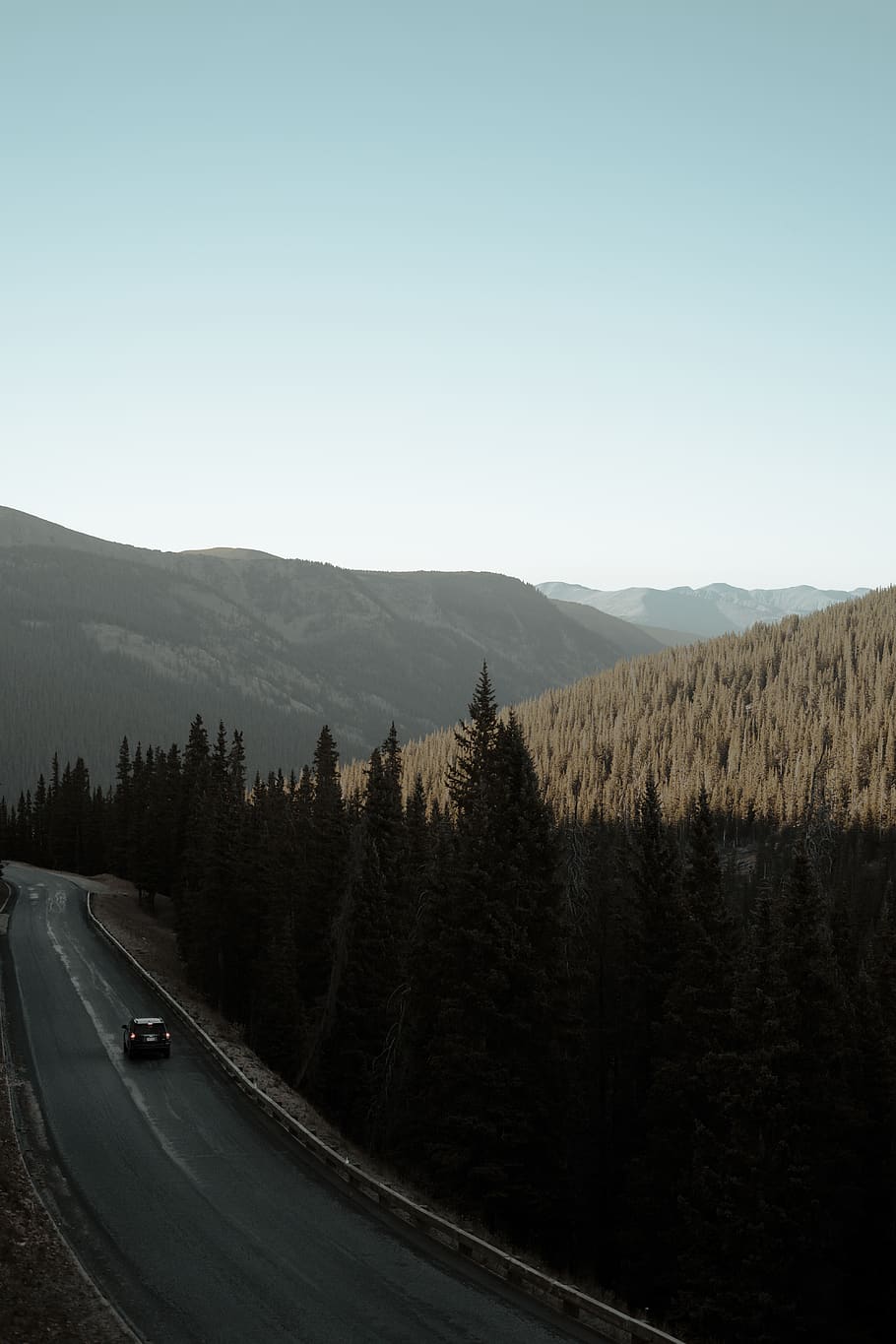 vehicle pass through road surrounded with pine trees, highway HD wallpaper