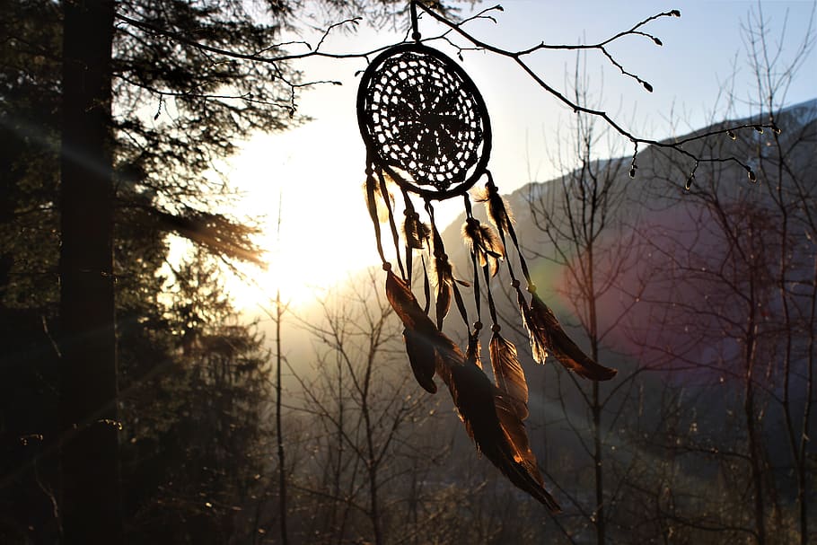 dream catcher, feather, sunset, forest, nature, tree, wood