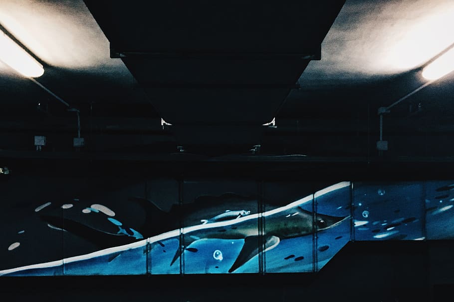 indoors, lighting equipment, architecture, illuminated, no people HD wallpaper