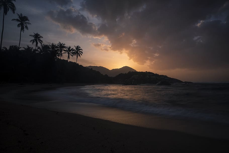 landscape photo of seashore at sunset, ocean, palm, beach, sand HD wallpaper
