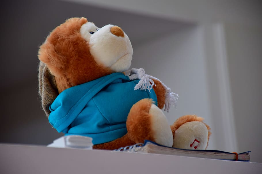 uruguay, montevideo, toy, bear, simple, casual, stuffed toy HD wallpaper