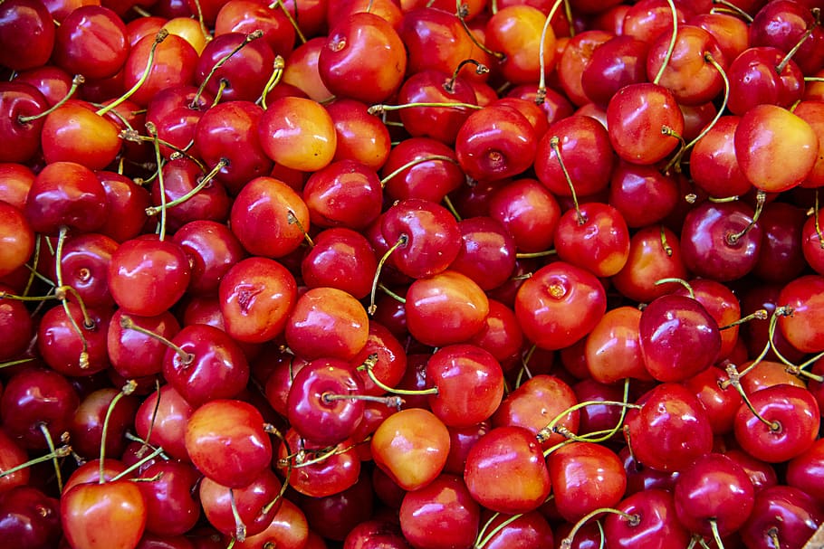 red berry lot, fruit, cherry, produce, flora, food, plant, italy HD wallpaper