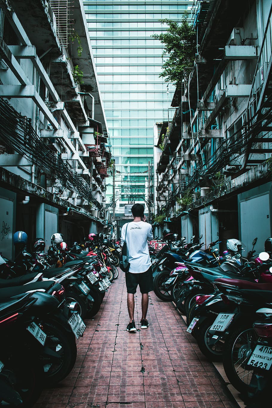 man walking in between motorcycles, vehicle, person, human, people HD wallpaper