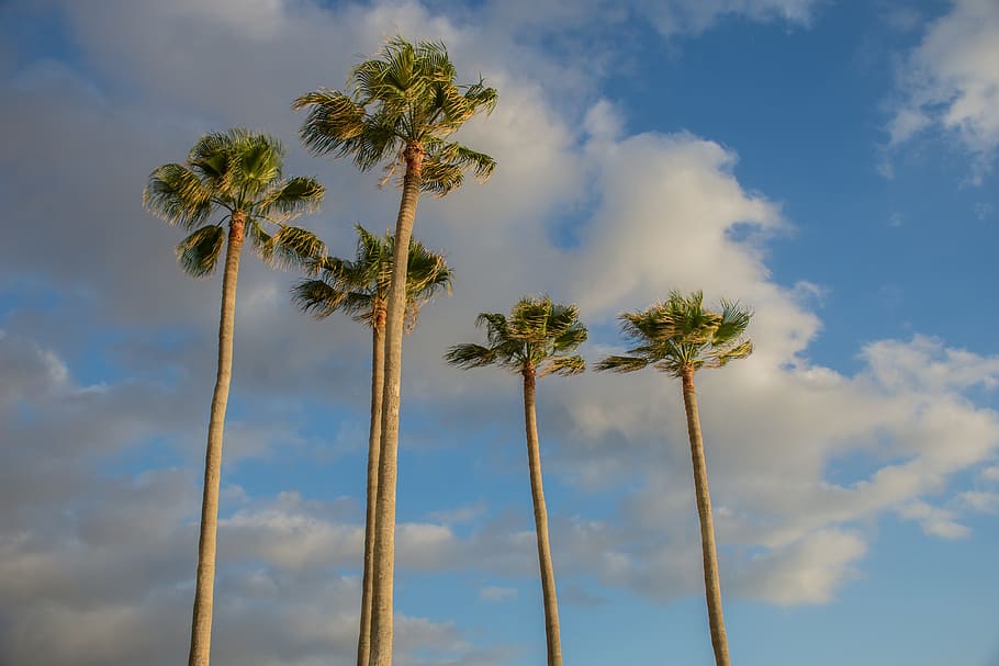 beach, sun, landscape, sky, clouds, natural landscape, tenerife HD wallpaper