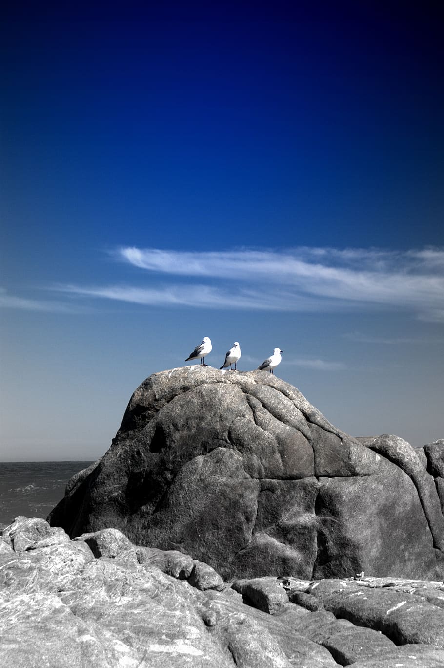 Stone scene. Птичий камень. Каменная птица в горах. Птицы на горе соларо. Камень с птицей на берегу моря.