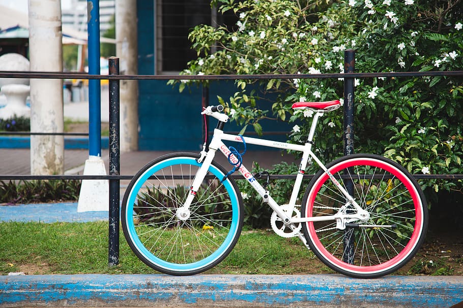bicycle, nature, natural, tree, transportation, land vehicle HD wallpaper
