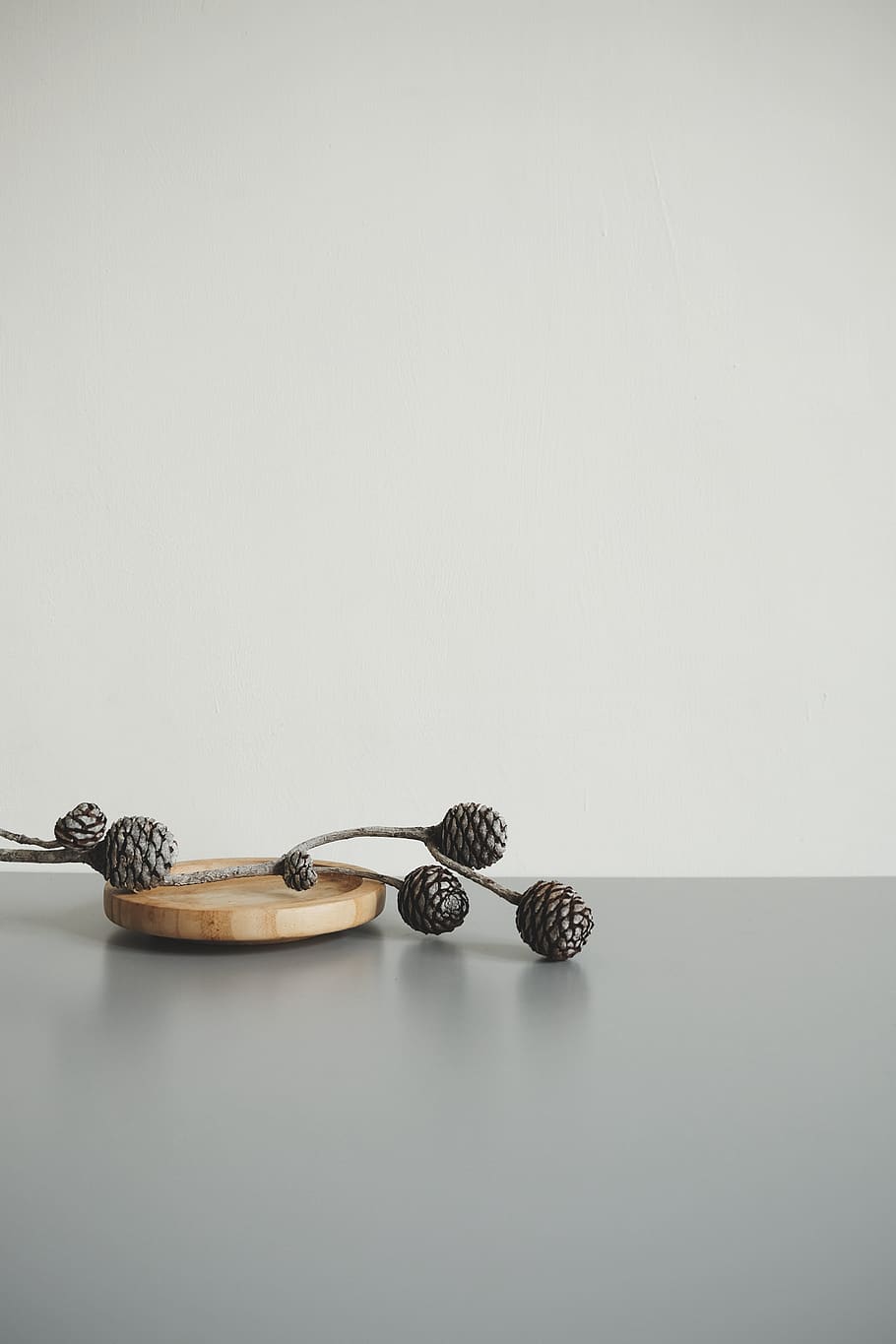 Brown Pine Cone on Gray Surface, close-up, cutout, focus, grey HD wallpaper