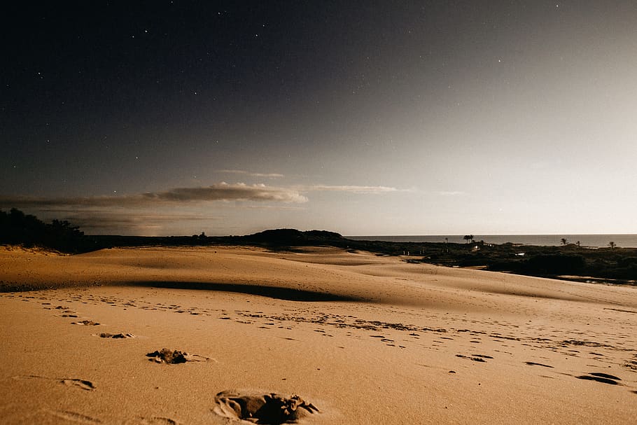 footprints on brown sand, land, sky, scenics - nature, beach HD wallpaper