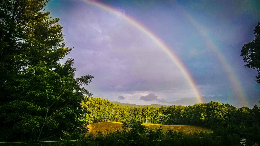nature, sky, clouds, rainbow, double rainbox, trees, beauty in nature HD wallpaper