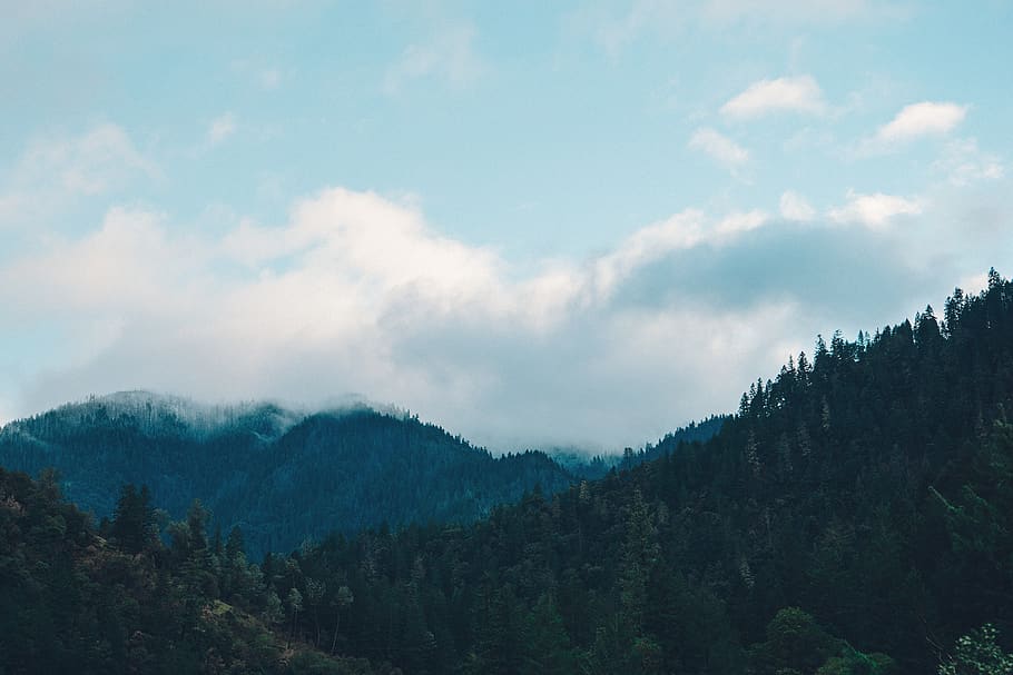 Mountain Range Under White Clouds, firs, forest, trees, sky, cloud - sky HD wallpaper