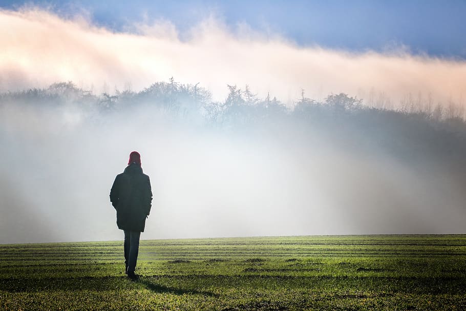 fog, dawn, landscape, sunrise, nature, blue, green, person HD wallpaper