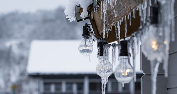 Turned on Clear Light Bulbs, blur, blurred background, close-up HD wallpaper