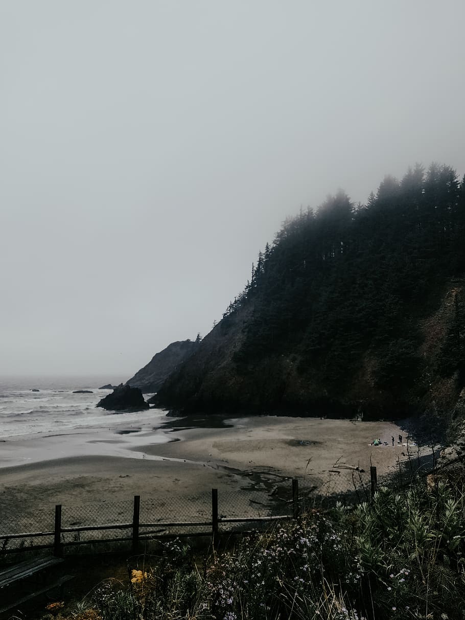 ocean, beach, moody, trees, waes, rain, raining, sky, water HD wallpaper