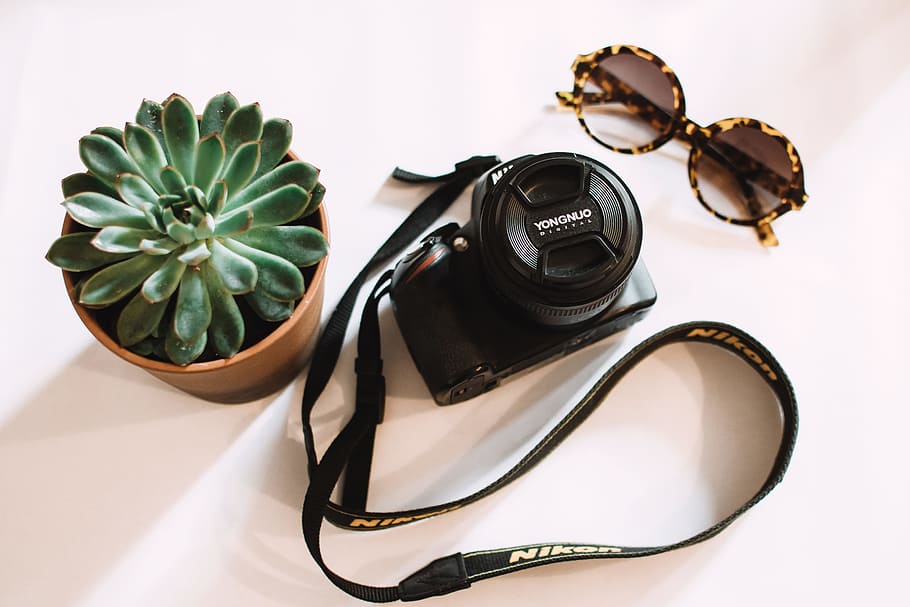 Black Nikon Dslr Camera Beside Green Succulent Plant, digital camera HD wallpaper