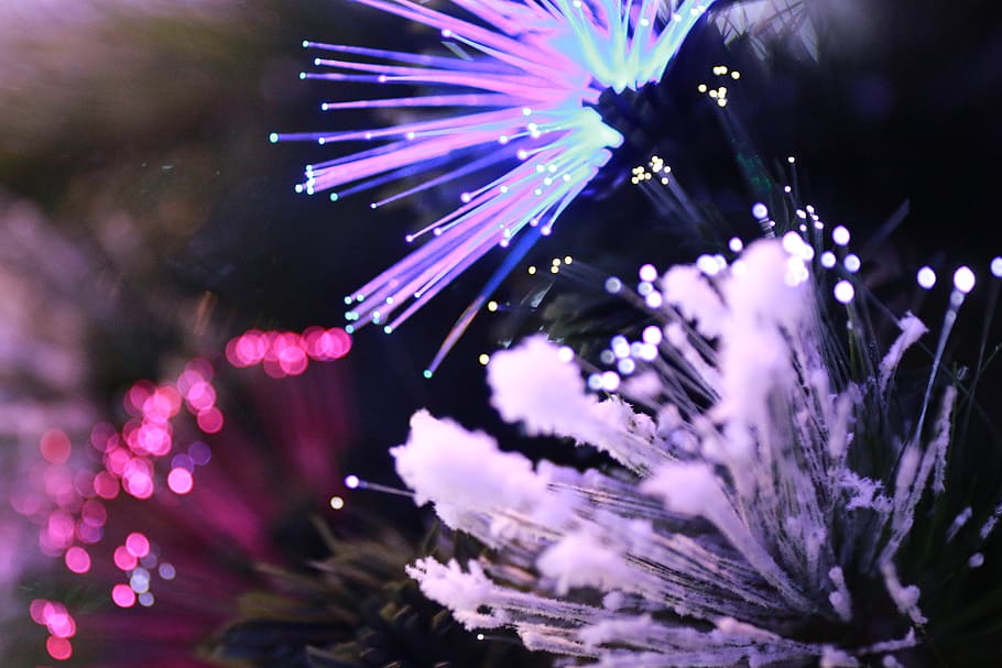 nature, outdoors, light, night, fireworks, santaland, north pole HD wallpaper